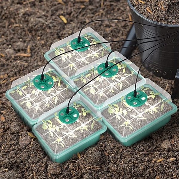 🔥Last Day Promotion 50% OFF🔥Seed Starter Trays with Grow Light