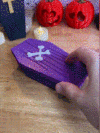 Surprise Coffin