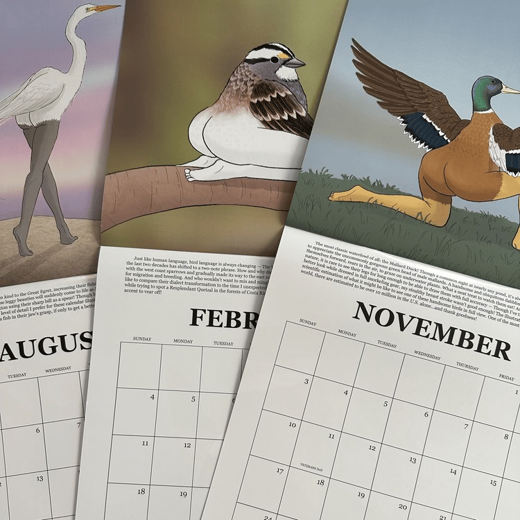 (🔥HOT SALE NOW 50% OFF) 2024 CALENDAR OF EXTREMELY ACCURATE BIRDS, Buy 2 Free Shipping