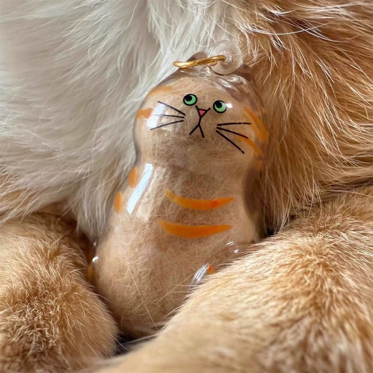 🎁TikTok Last Day Sale - 70% OFF🎉Transparent Cat Hair Storage Box Charm