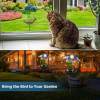 🔥Solar-Powered LED Animal Umbrella Light with Bird Feeder（Frog）