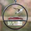 🐝Labor Day Deals: 50% OFF! Simple Slim Hummingbird Feeder