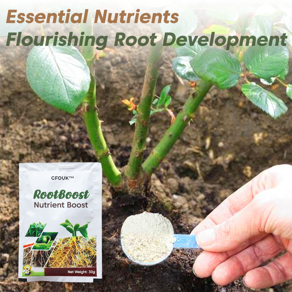 🎁Last Day Promotion- SAVE 70%🔥RootBoost Nutrient Powder