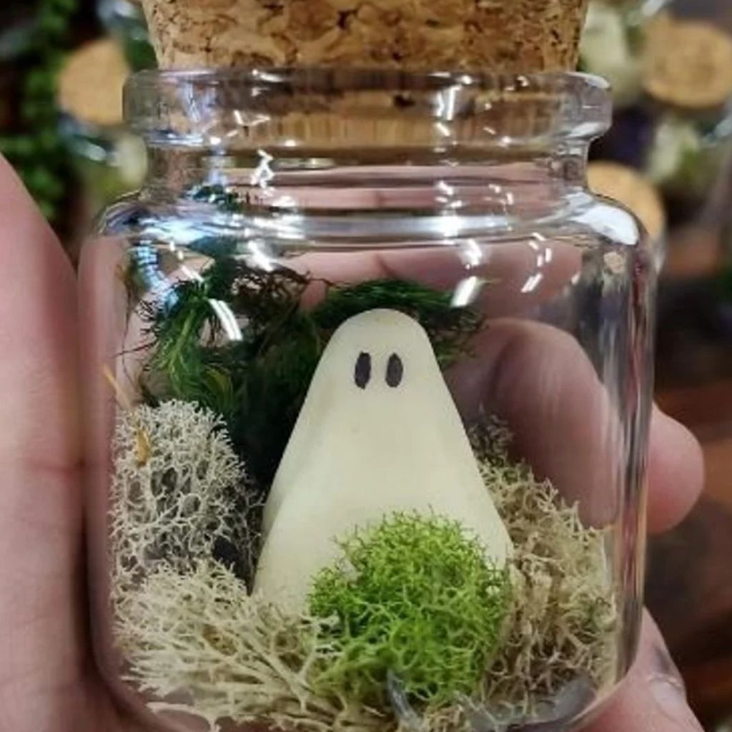 Pet Ghost in Bottle👻