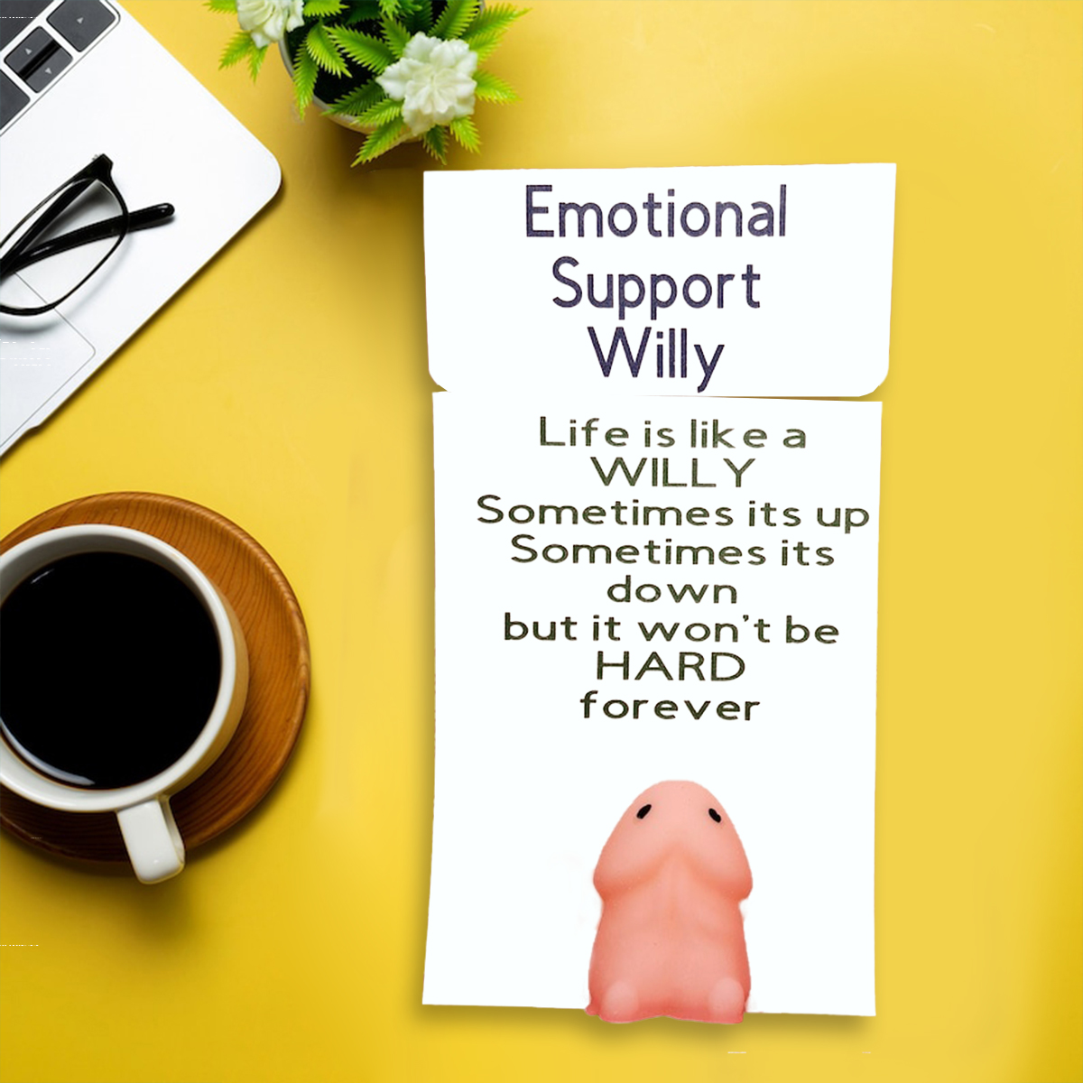 🎁Emotional Support Willy