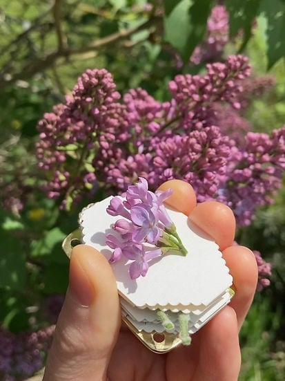 🔥Last Day 50% OFF-2025 Micro Flower Press