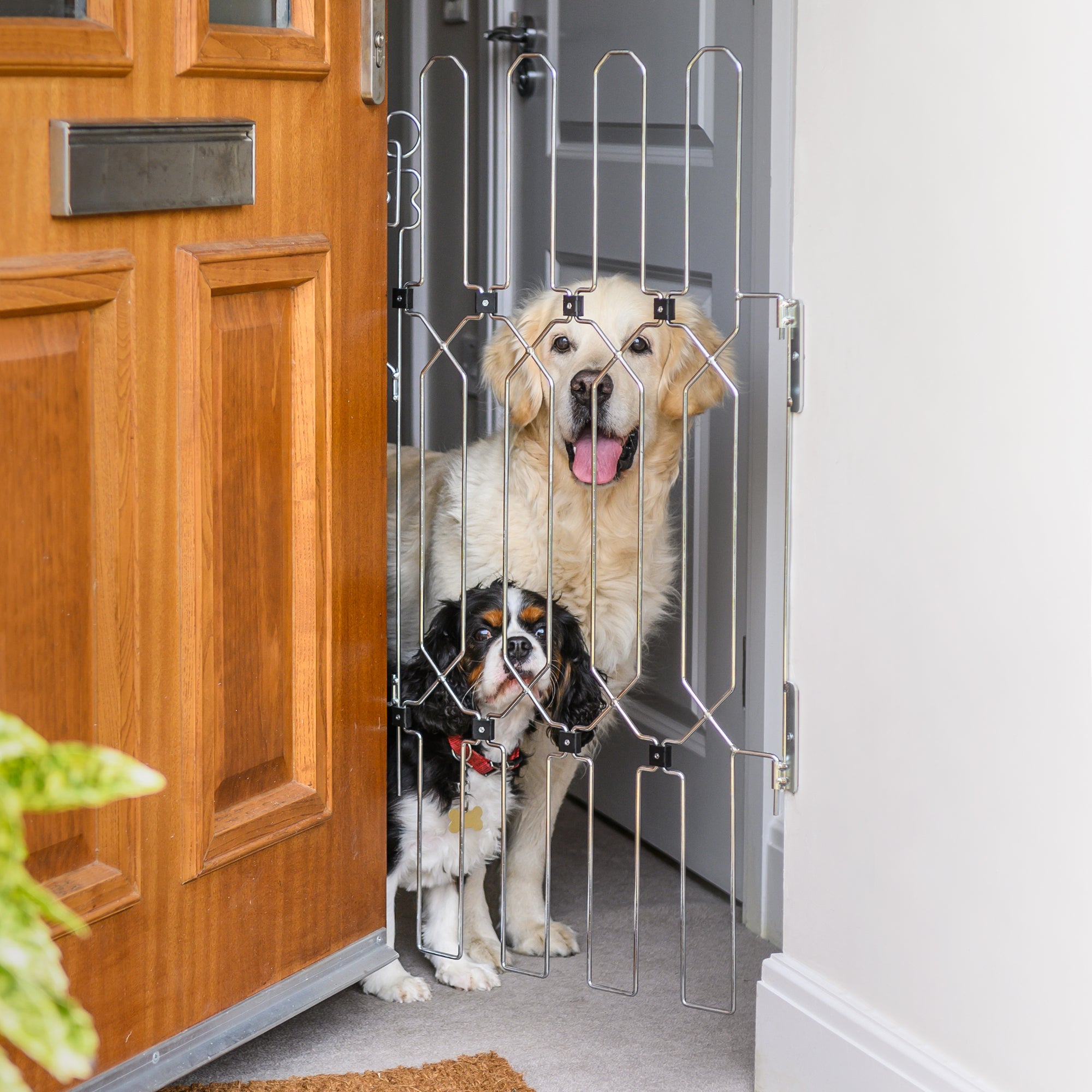 Retractable Dog Gate for Front Doors