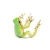 (🔥Last Day 50% OFF) Latest-Tree Frog Ring & Earrings