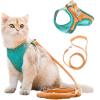 ⚡⚡Last Day Promotion 48% OFF - Luminous Cat Vest Harness and Leash Set（⚡⚡BUY 2 FREE SHIPPING）