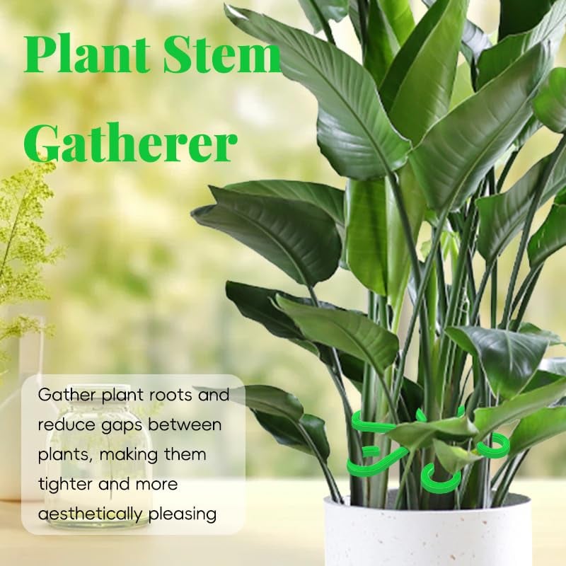 Last Day Promotion 70% OFF - 🌿Plant Stem Support Set