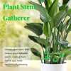 Last Day Promotion 70% OFF - 🌿Plant Stem Support Set