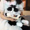 🎁TikTok Last Day Sale - 70% OFF❤️Cute Cat Backpack🐱💕