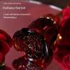 Midnight Rose Perfume🥀| A Timeless Fragrance 🌹