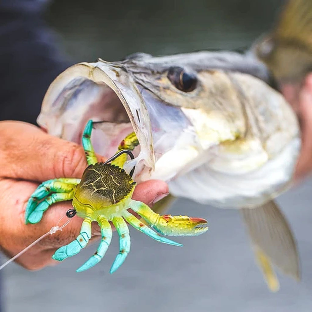 🔥SMASH CRAB