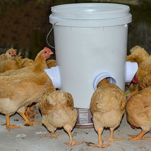 (🔥2023 Hot Sale 47% OFF)--DIY Chicken Feeder(BUY MORE SAVE MORE)