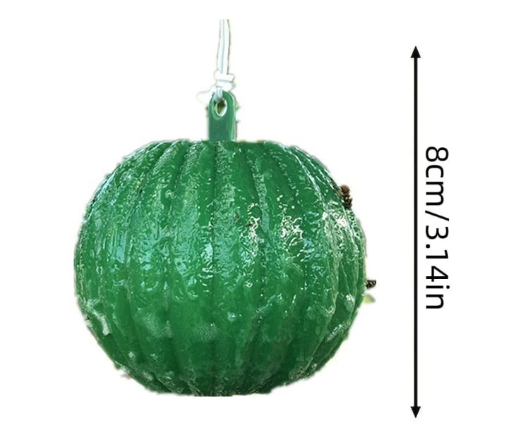 (🎄EARLY CHRISTMAS SALE - 50% OFF) 🎁Hanging Environmental Fruit Fly Traps Sticky Traps