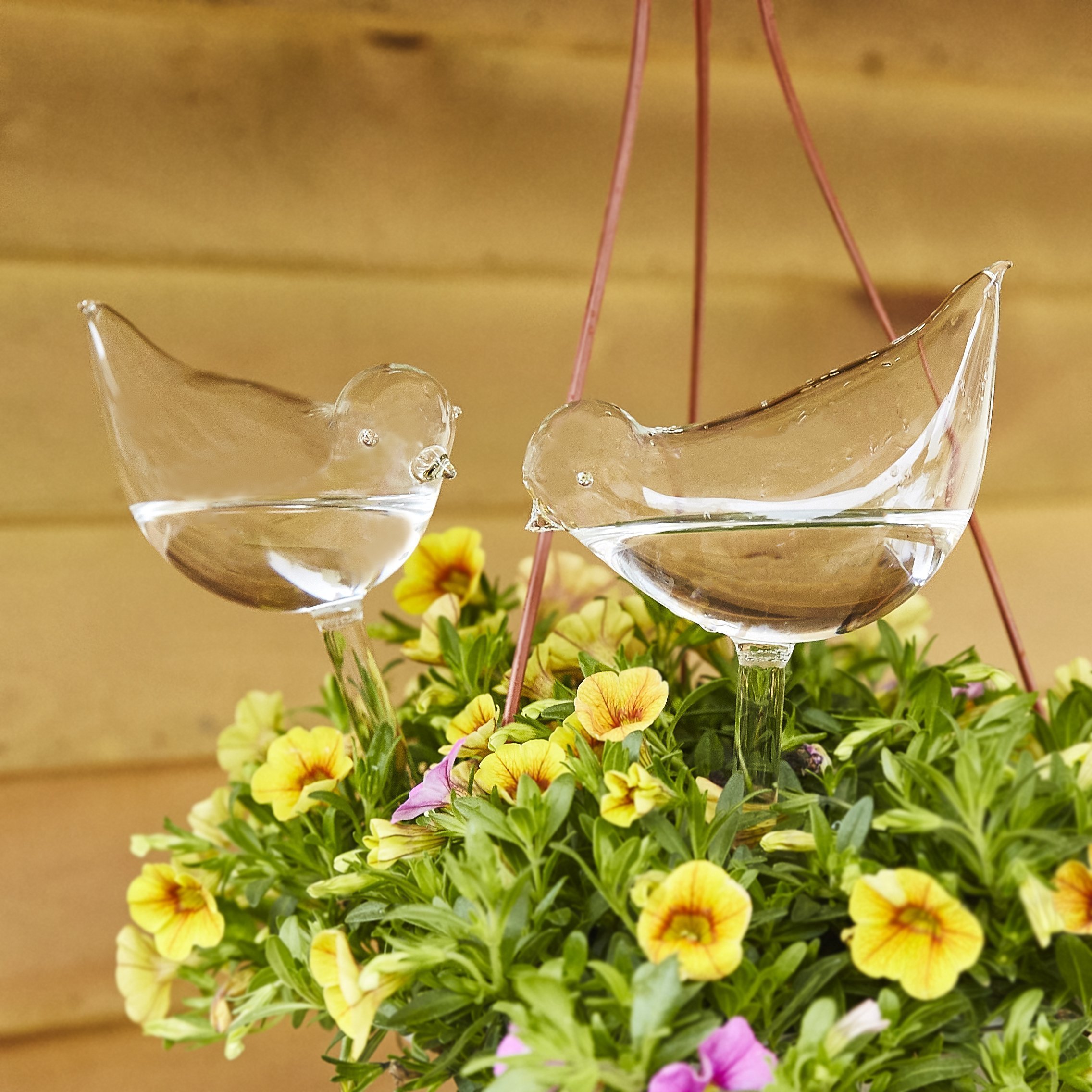 Mother's Day Pre-Sale 48% OFF - Self-Watering Plant Glass Bulbs-BUY 4 SETS FREE SHIPPING