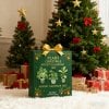 🔥Christmas Sales 50% OFF🎄-2025 Plant Christmas Advent Calendar🌿