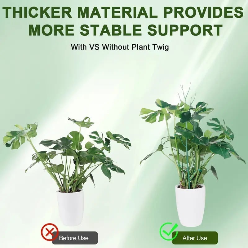 ⏰LAST DAY SALE 50% OFF💥5 pack Plant Support Stakes⚡Buy 2 Free Shipping