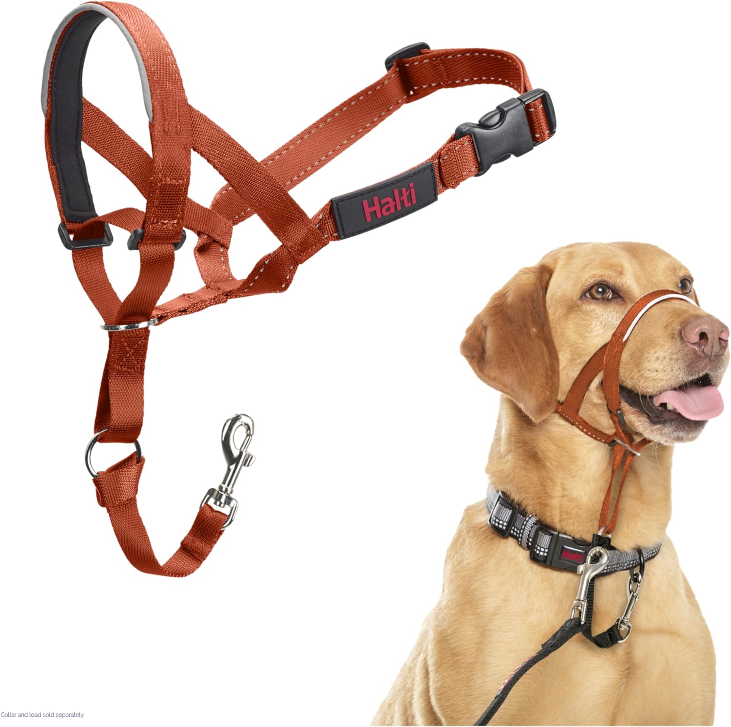 HALTI Headcollar - To Stop Your Dog Pulling on the Leash. Adjustable, Reflective and Lightweight, with Padded Nose Band. Dog Training Anti-Pull Collar for Medium Dogs (Size 3, Red)