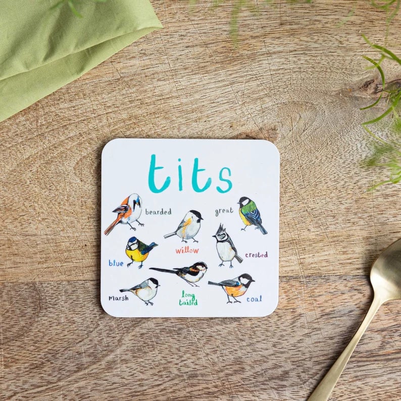 (🎄NEW YEAR HOT SALE-50% OFF)🐦Set of 6 Bird Pun Coasters
