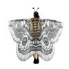 🎁TikTok Last Day Sale - 70% OFF🎉Magic cape🧚🦋
