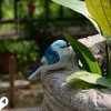 🎖️July 4th Flash Sale: 50% OFF Sitewide! 💕<strong>Handmade</strong> Wooden Carved Bird + Stand