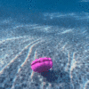 🎁TikTok Last Day Sale - 70% OFF🔥4 Colours Little Mermaid Pool Toy Shell