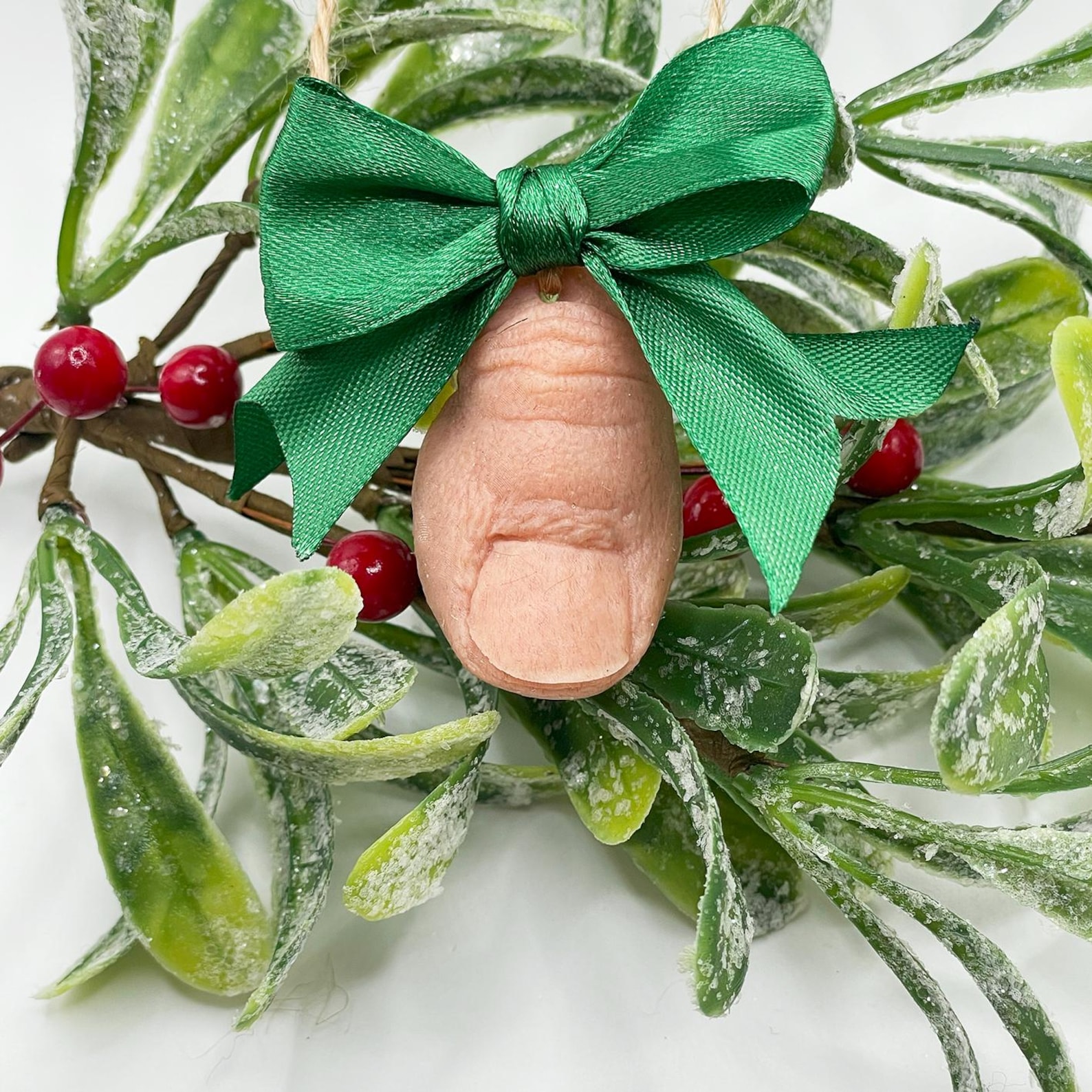 🤣MistleTOE Christmas Decoration