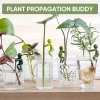 ✨TikTok Black Friday Deals - 70% OFF🎁Plant Propagation Buddy