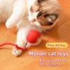 🐱🐶2024 Automatic LED Interactive Pet Toys Ball