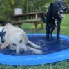 🔥LAST DAY 50% OFF- Refreshing Dog Sprinkler Pad