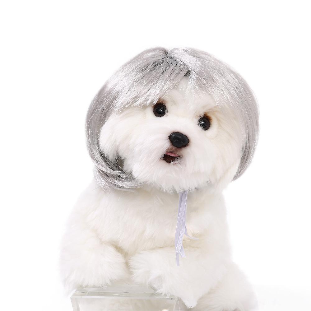 🔥Last Day Promotion - 60% OFF🎁🐕🐱Pet Wigs Cosplay Props