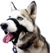 BARKLESS Soft Dog Head Collar, No Pull Training Tool for Small Medium Large Dogs on Walks, Gentle Training Collar and Control for Heavy Pullers, Includes Free Training Guide