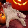 🔥Last Day Promotion 70% OFF-🔥-Realistic Severed Hand Prop - Body Parts Bloody Hands for Halloween