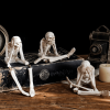 🎁TikTok Last Day Sale - 70% OFF🔥See Speak Hear No Evil Skeleton Figurines
