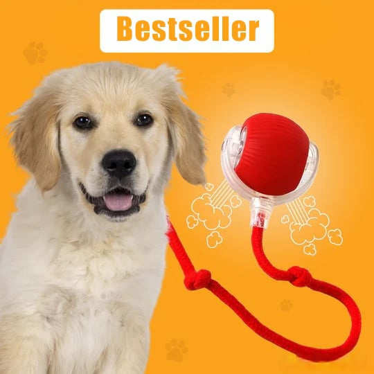 💗Letzter Tagesangebot: 49 % RABATT😻 Interaktiver Spielzeug Ball