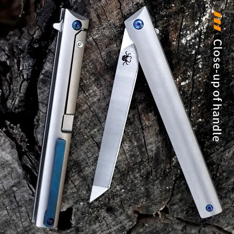 🔥HOT SALE 49% OFF🔥 B13 REGENT, Blade: D2 Handle: TA5 Titanium