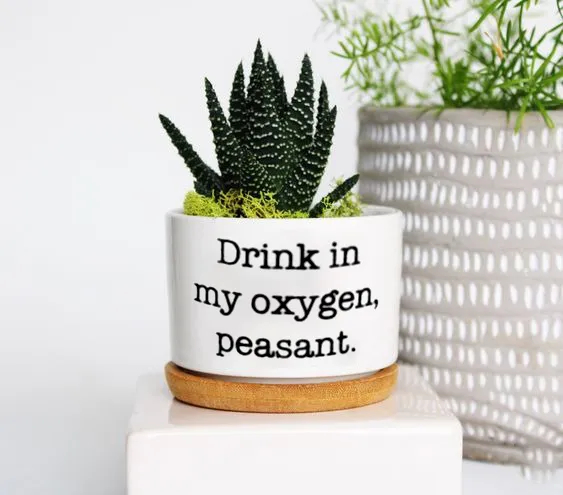 🔥New Year Promotion 50% Off-🌱Funny Plant Pot