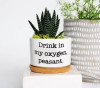 🔥New Year Promotion 50% Off-🌱Funny Plant Pot