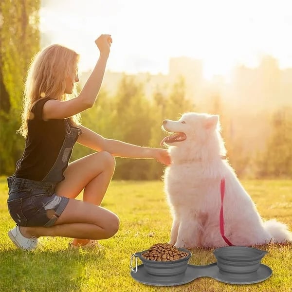 🔥(Last Day Promotion -50% OFF)Travel Dog Diner Set, BUY 2 FREE SHIPPING