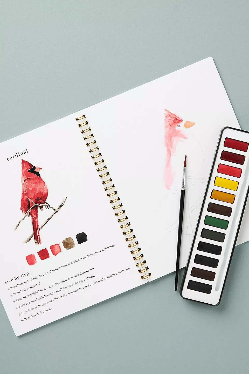 🔥LAST DAY 55% OFF - 🖼️Beginner-Friendly💕 Watercolor Workbook