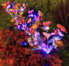 🦋LAST DAY SALE 50% OFF💥Solar Outdoor Butterfly Lights