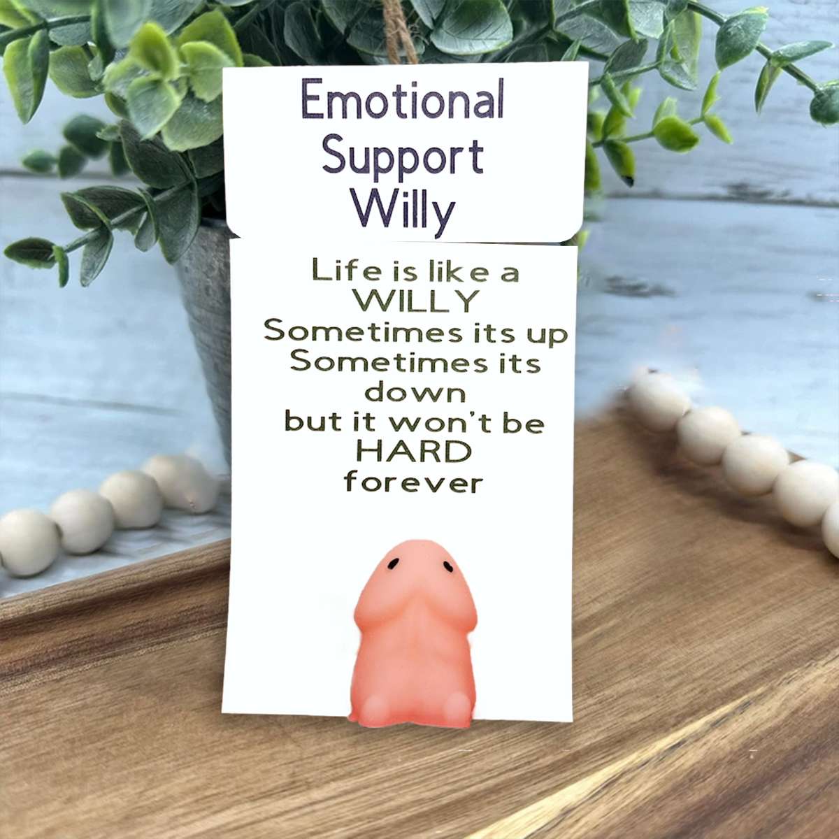 🎁Emotional Support Willy