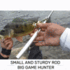 TikTok Last Day Promotion -60% OFF🎉Fisherman's Haven Pocket Rod -🎣Effortless Catch