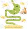 😽😽Catnip Ball For Cats Edible Toys🔥BUY 2 GET 1 FREE