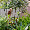 🐦Handcrafted Iron Bird Sculpture | Outdoor Garden & Yard Decoration✨