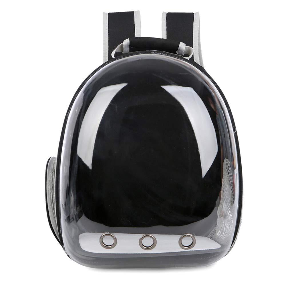 Best Selling Transparent Pet Backpack