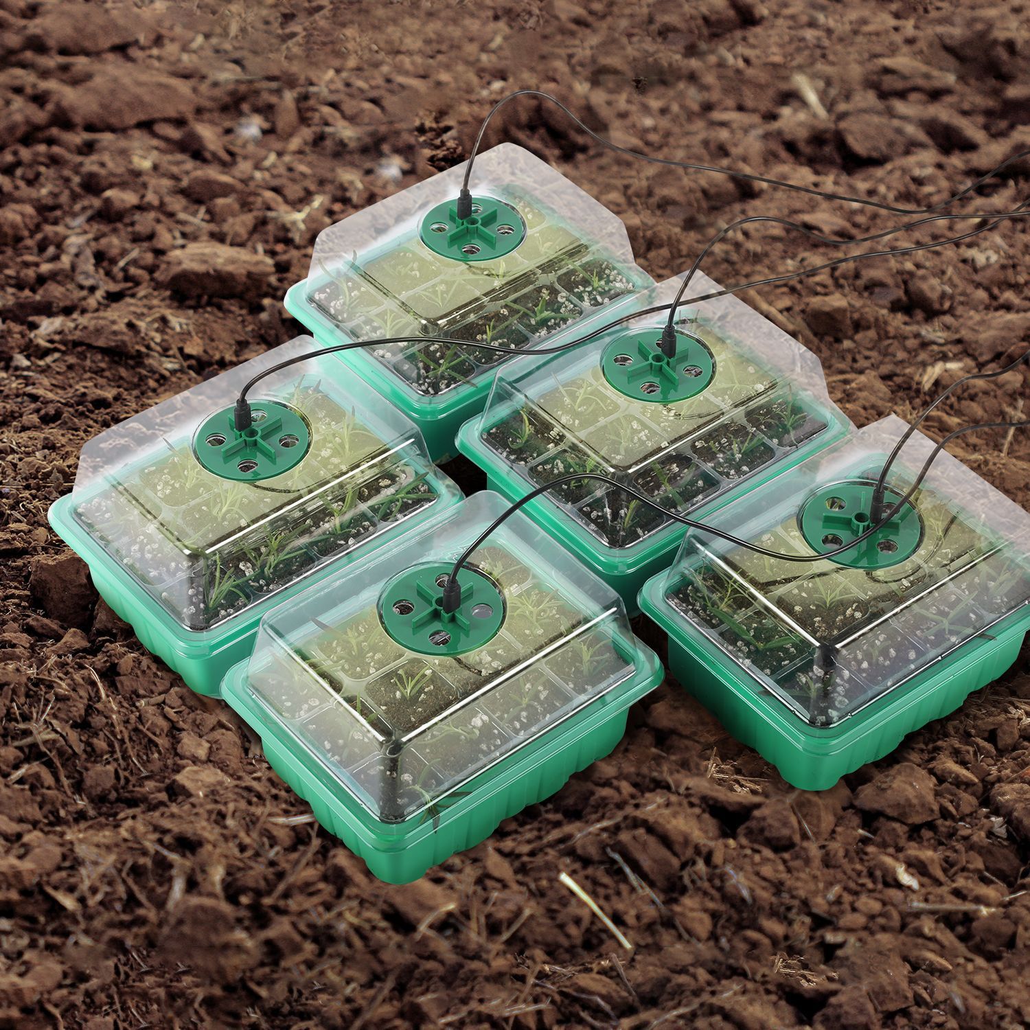 (🔥Last Day Sale-50% OFF)Seed Starter Trays with Grow Light-Buy 2 Get 1 Free