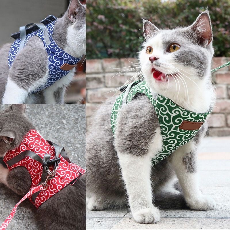 🔥This Week's Special Offer 49% OFF - Cat Vest Harness and Leash Set(Buy 2 Get Extra 10% OFF & Free Shipping)